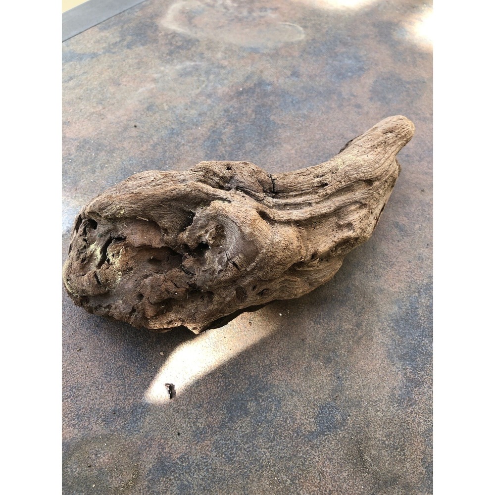 Natural Driftwood for Plants Terrarium Taxidermy Art Projects - Picture 1 of 5
